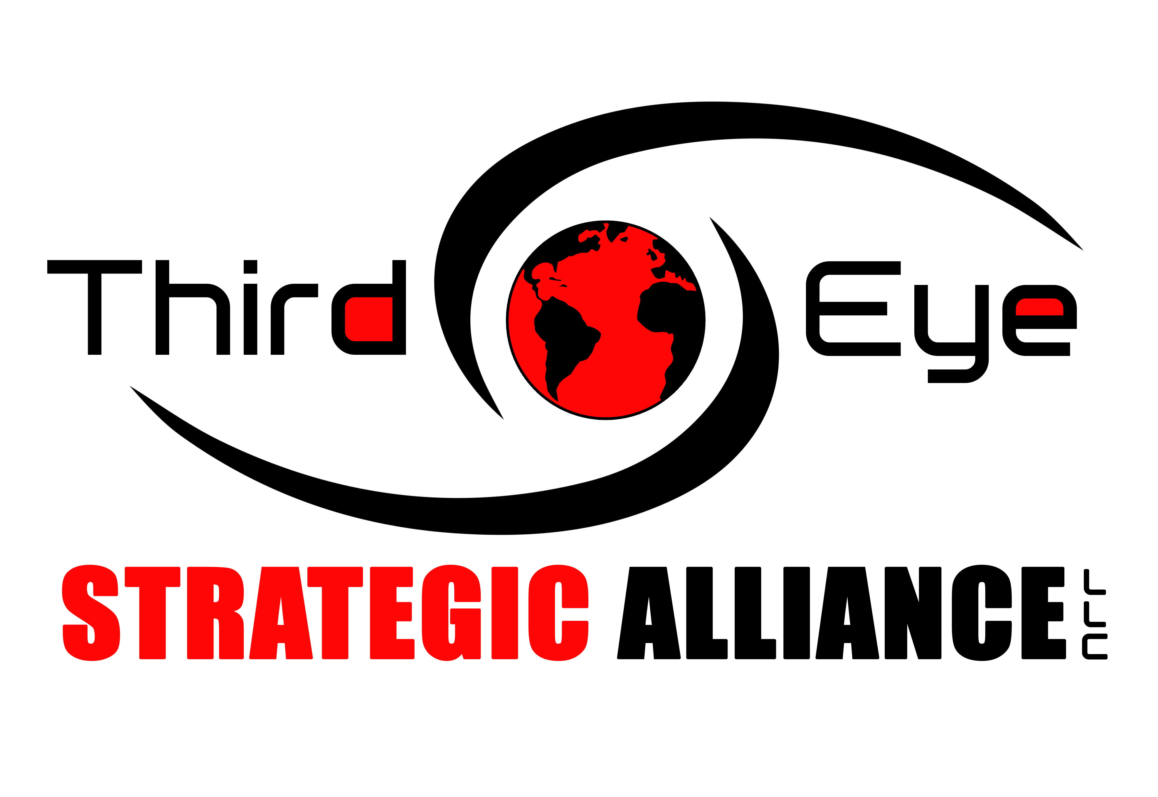 3rd Eye Dtrategic Alliance – logo 4